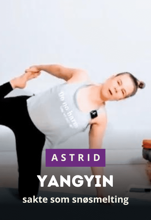YangYin – sakte som snøsmelting